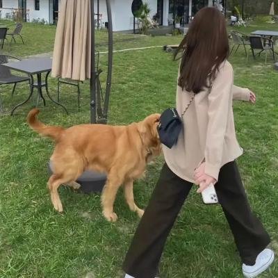青少年哪吒